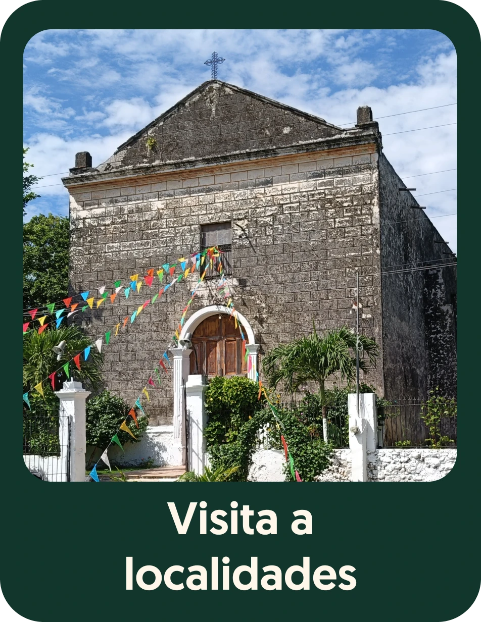 Camino del Mayab 5